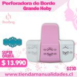 HG 230 Fancy Border Punch Petalos de Flor